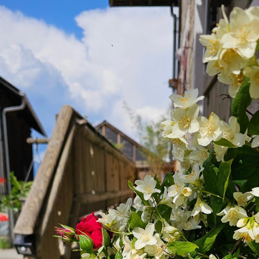 Le Banc Des Seilles Villa Bonvillard ภายนอก รูปภาพ