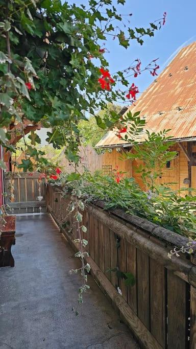 Le Banc Des Seilles Villa Bonvillard ภายนอก รูปภาพ